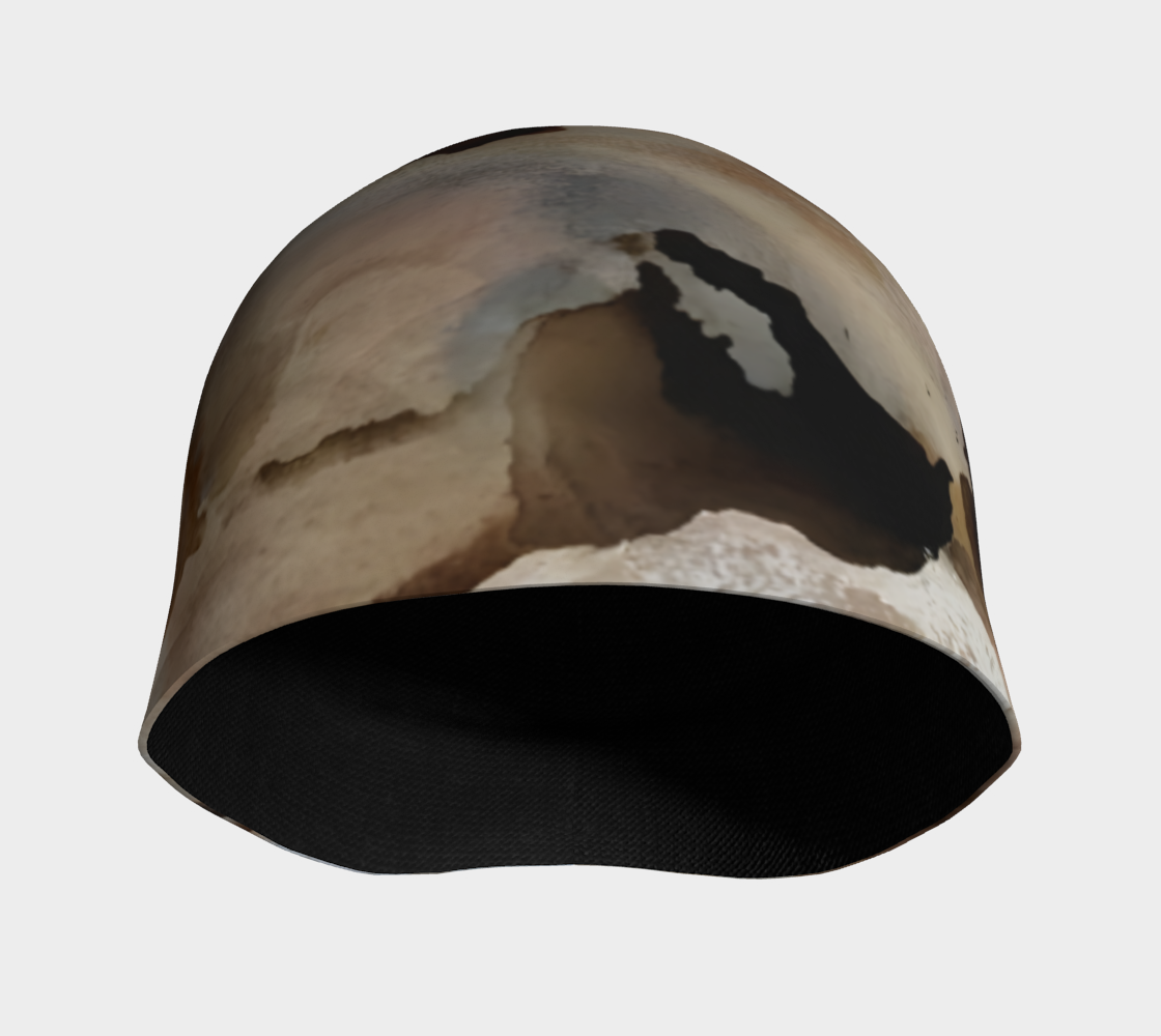 Tuque tégument